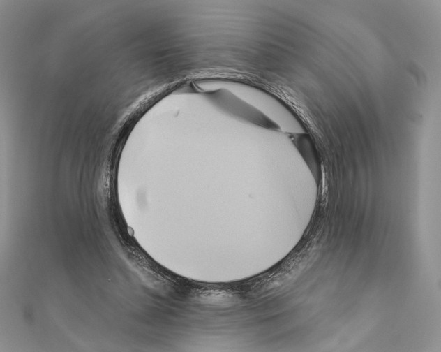 X0000110970348200907310934