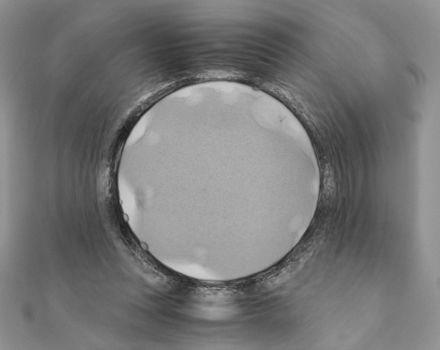 X0000110970351200907310934