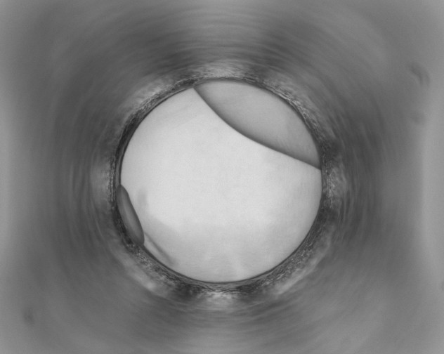X0000110970352200907310934