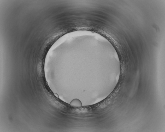 X0000110970353200907310934