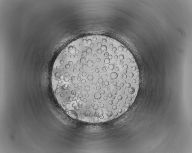 X0000110970354200907310934