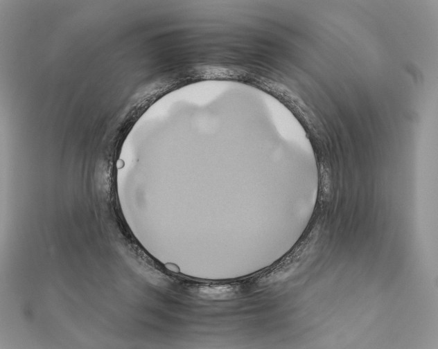 X0000110970357200907310934