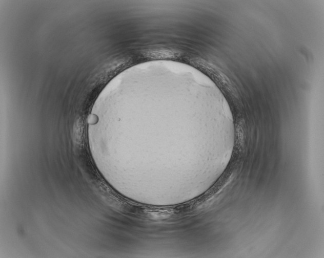 X0000110970359200907310934