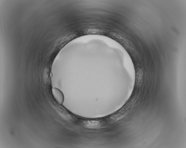 X0000110970361200907310934