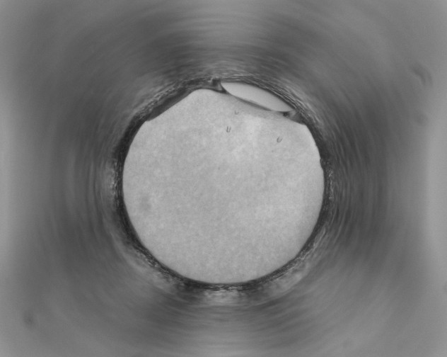 X0000110970362200907310934