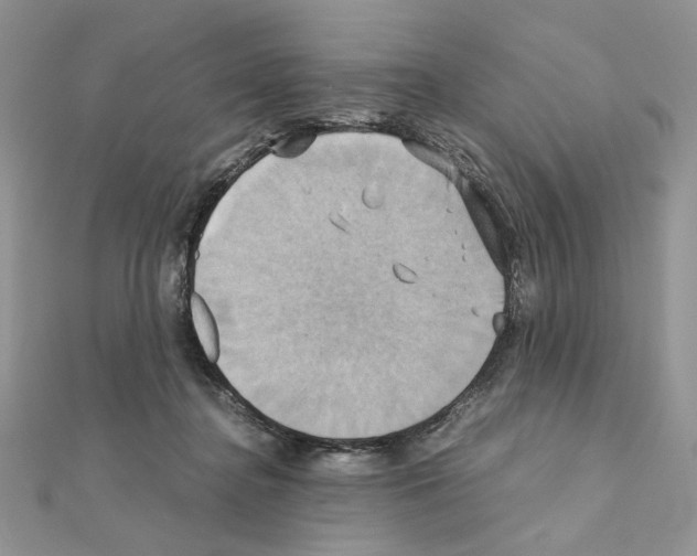 X0000110970364200907310934