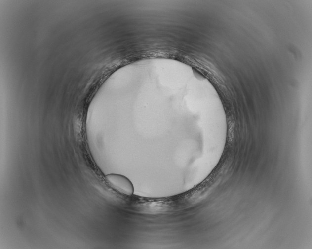 X0000110970365200907310934