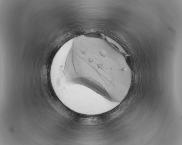 X0000110970366200907310934