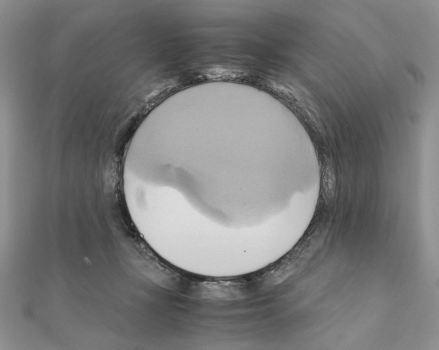 X0000110970367200907310934