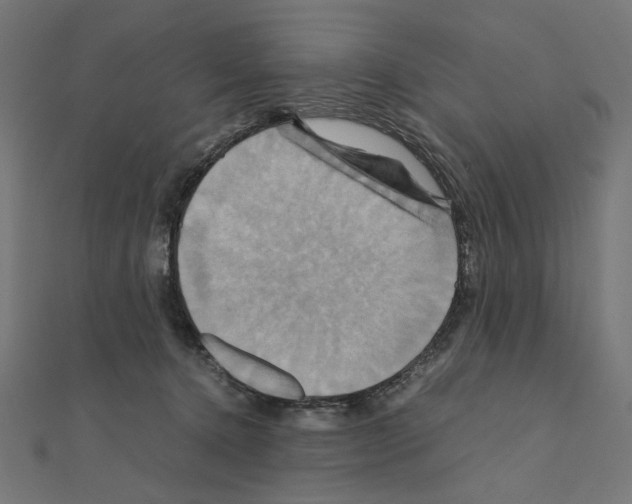 X0000110970368200907310934