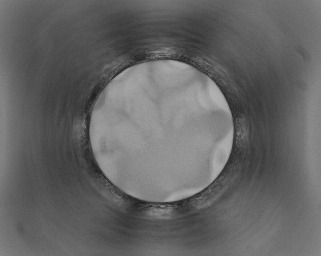 X0000110970369200907310934