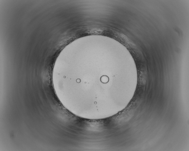 X0000110970370200907310934