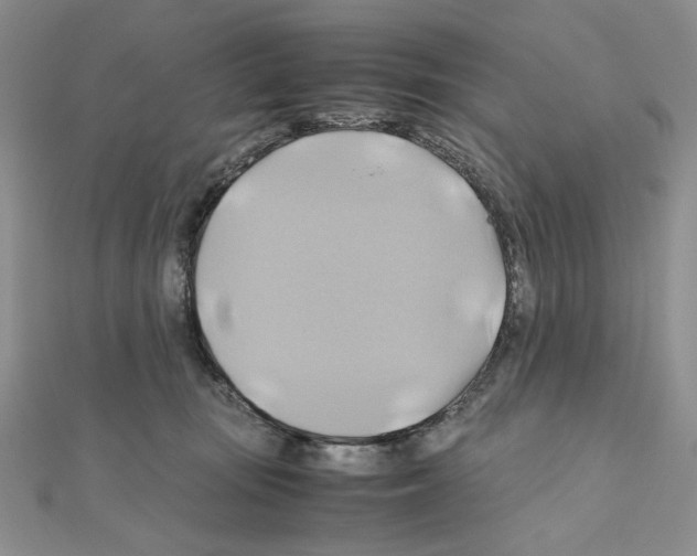 X0000110970371200907310934