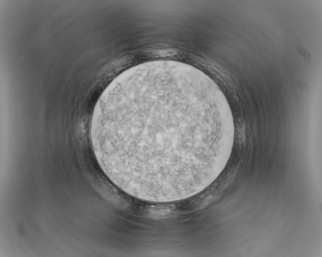 X0000110970373200907310934