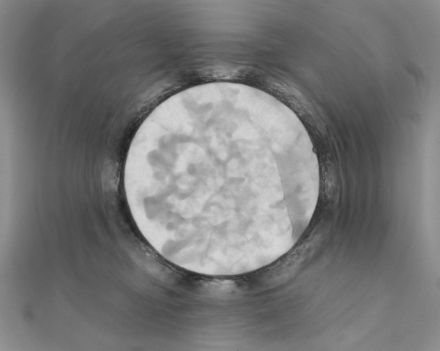 X0000110970374200907310934