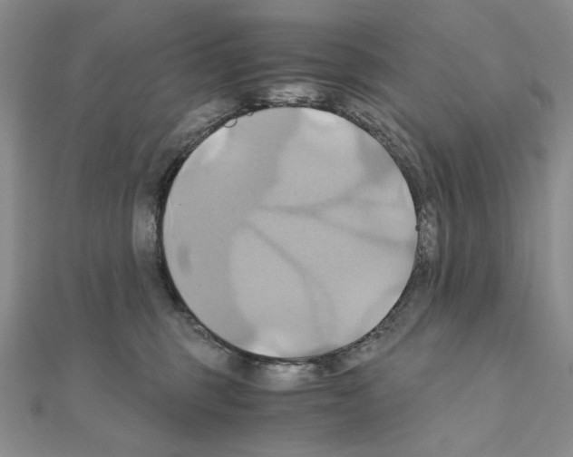 X0000110970375200907310934
