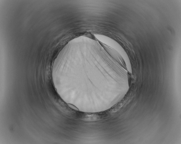 X0000110970376200907310934