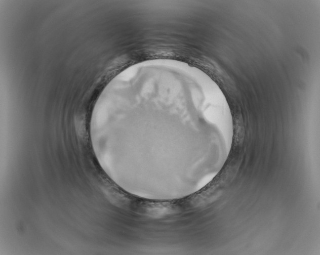 X0000110970377200907310934
