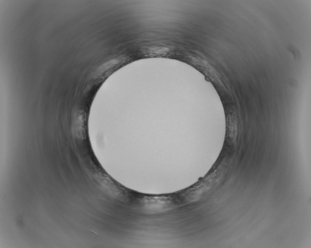 X0000110970378200907310934