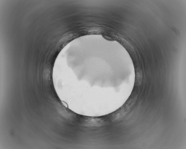X0000110970379200907310934