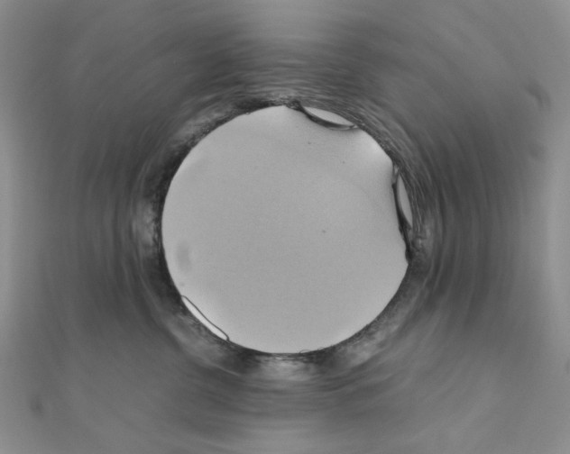 X0000110970380200907310934