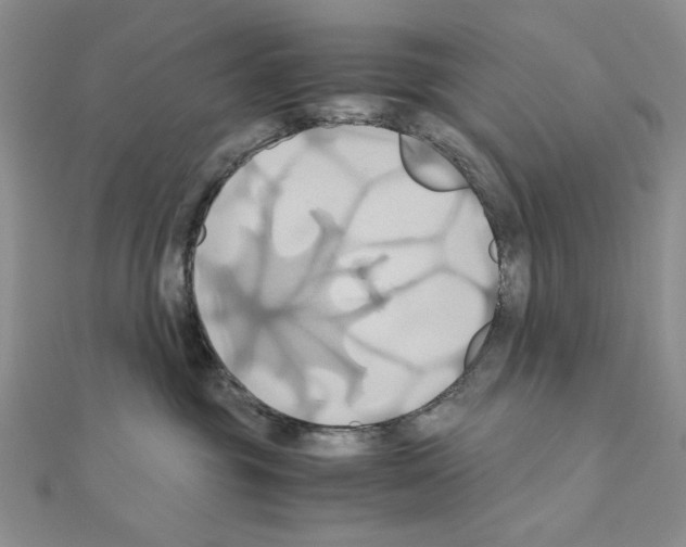 X0000110970381200907310934