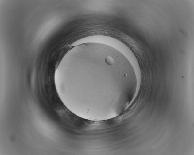 X0000110970382200907310934