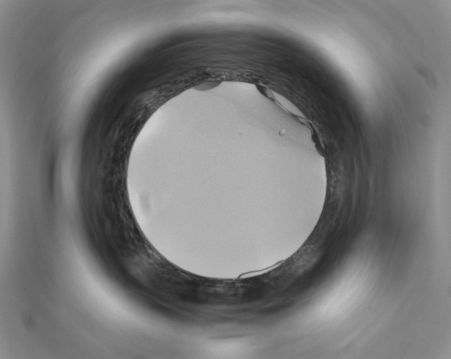 X0000110970383200907310934