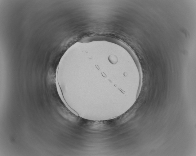 X0000110970384200907310934