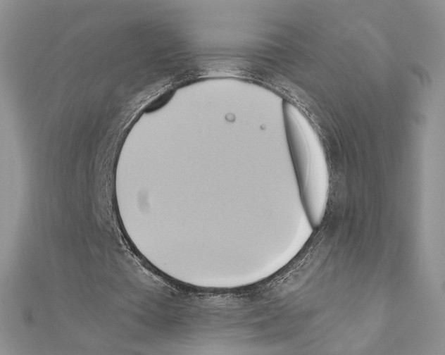 X0000110970385200907310934