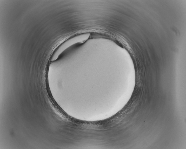 X0000110970389200907310933