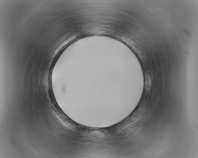 X0000110970390200907310933