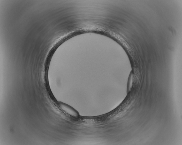 X0000110970391200907310933