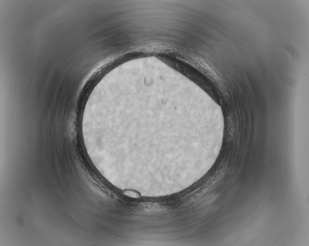 X0000110970392200907310933