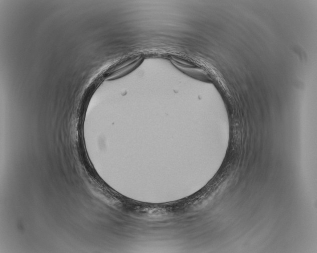 X0000110970395200907310933