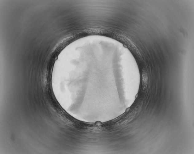 X0000110970396200907310933