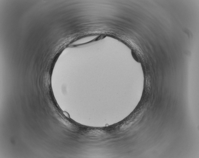 X0000110970397200907310933