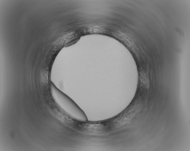 X0000110970401200907310933