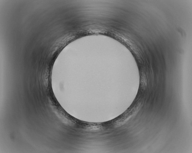 X0000110970402200907310933