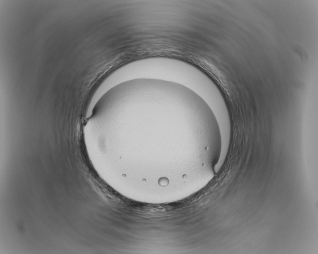 X0000110970405200907310933