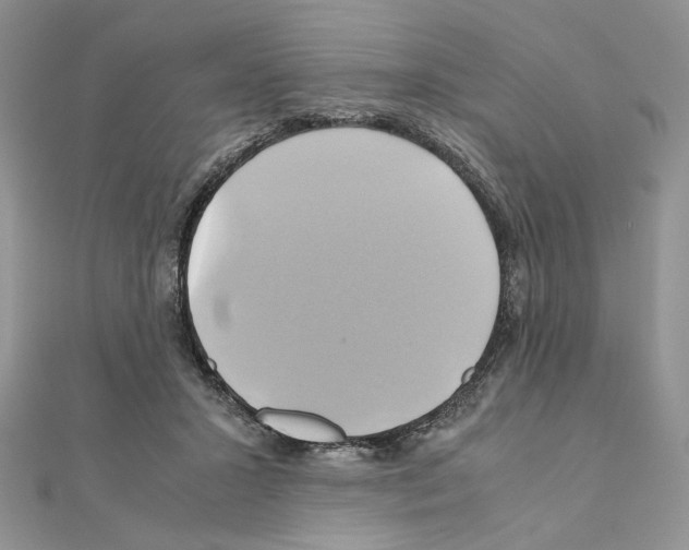 X0000110970407200907310933