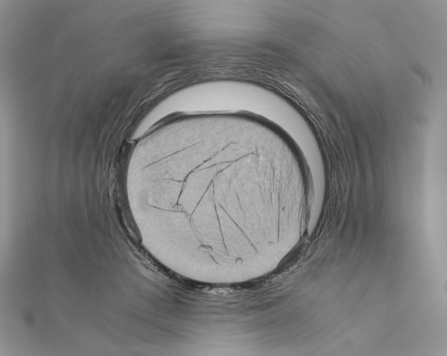 X0000110970409200907310933