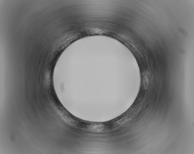 X0000110970410200907310933
