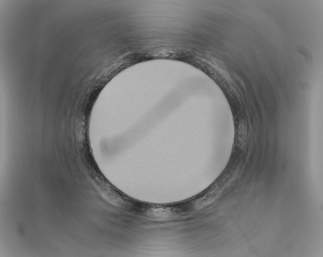 X0000110970413200907310933