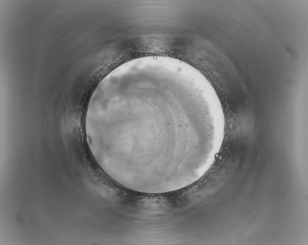 X0000110970415200907310933