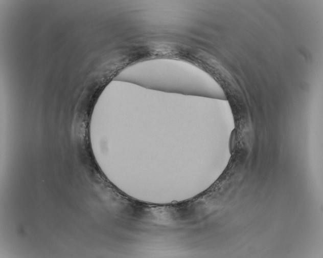 X0000110970417200907310933