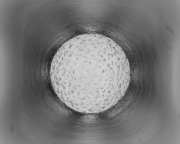 X0000110970418200907310933