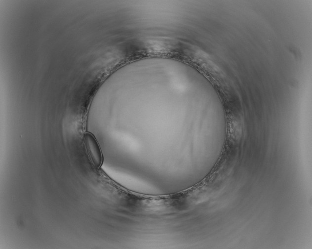 X0000110970419200907310933