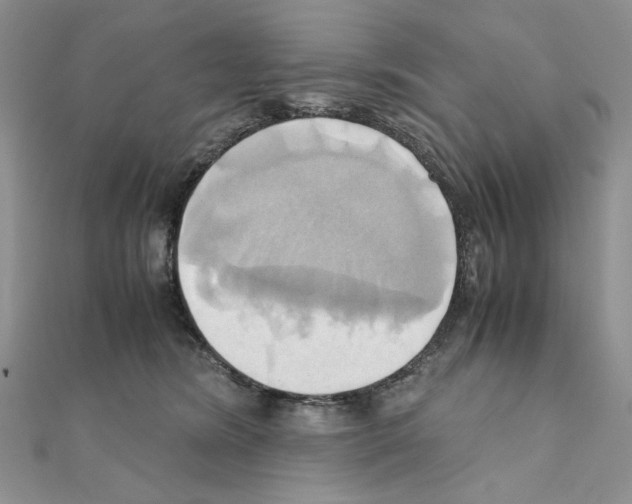 X0000110970420200907310933