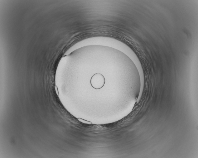 X0000110970421200907310933
